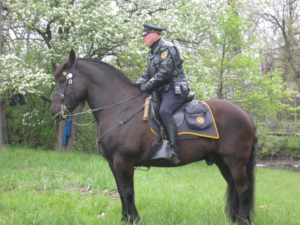 2012 Run With the Cops 150.JPG - The 3rd annual, and my first, Detroit City "Run With the Cops, Not From them!" race. I ran the 10K, and set a PR in the process. Another cold and windy day on Belle Isle!
